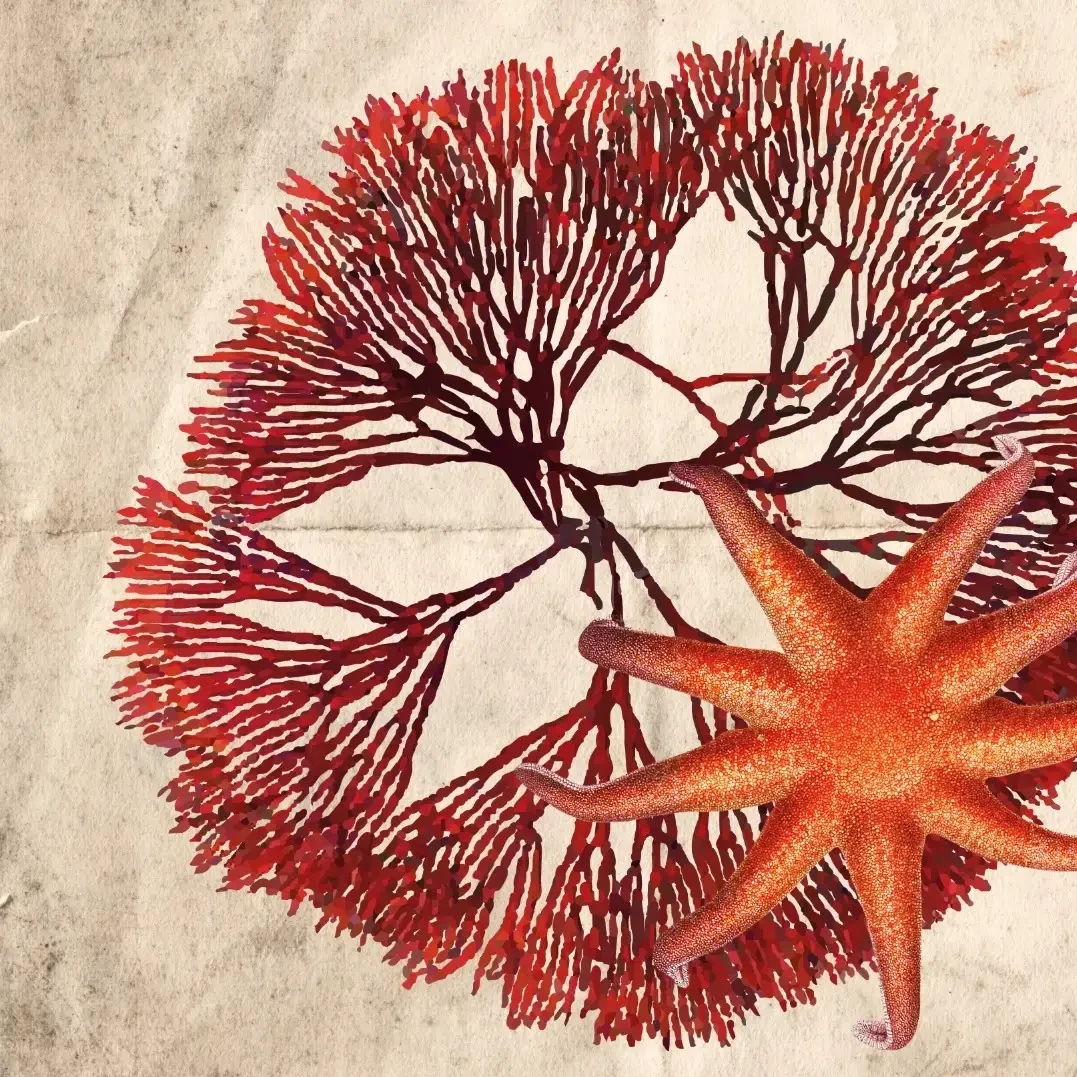 © artwork by gabriele lari